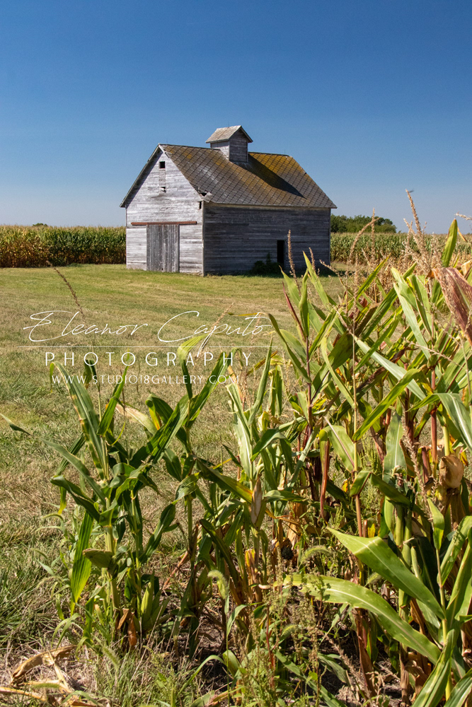 (31) Corn crib on hwy 27 leaving donnellson 2