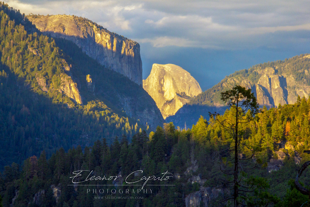Yosemite Spring 11