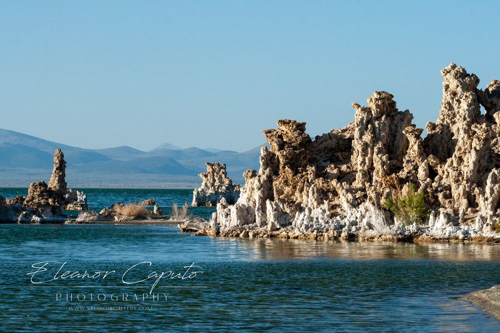 Mono Lake 8