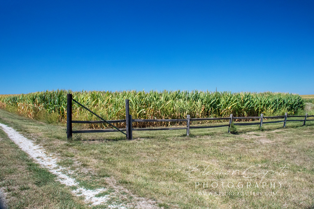 (11) Fence at entrance of property 2