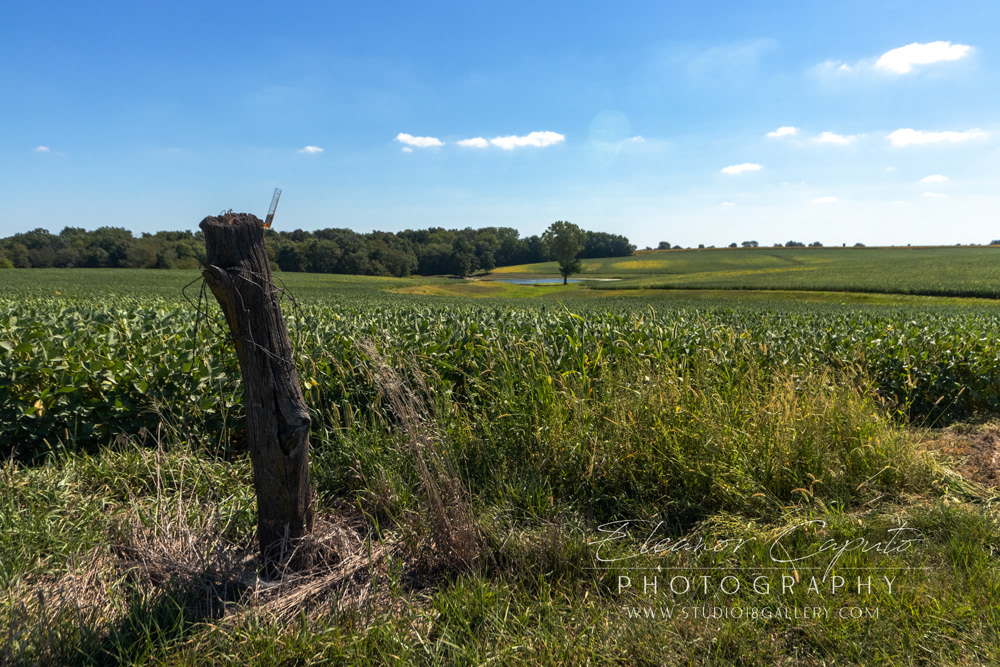 (1) Pond to the south east from franks on 150 