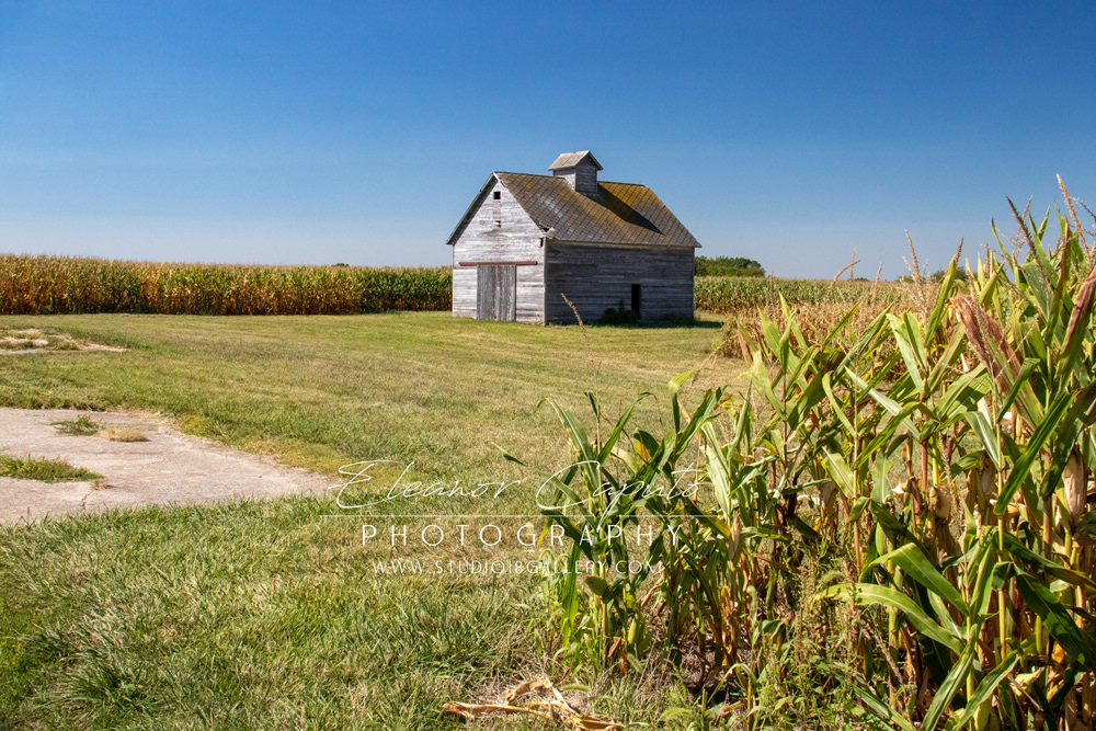 (32) Corn crib on hwy 27 leaving donnellson 3