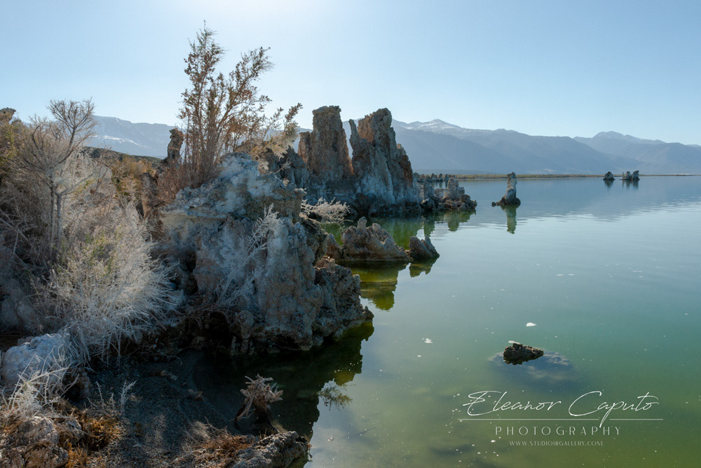 Mono Lake 14