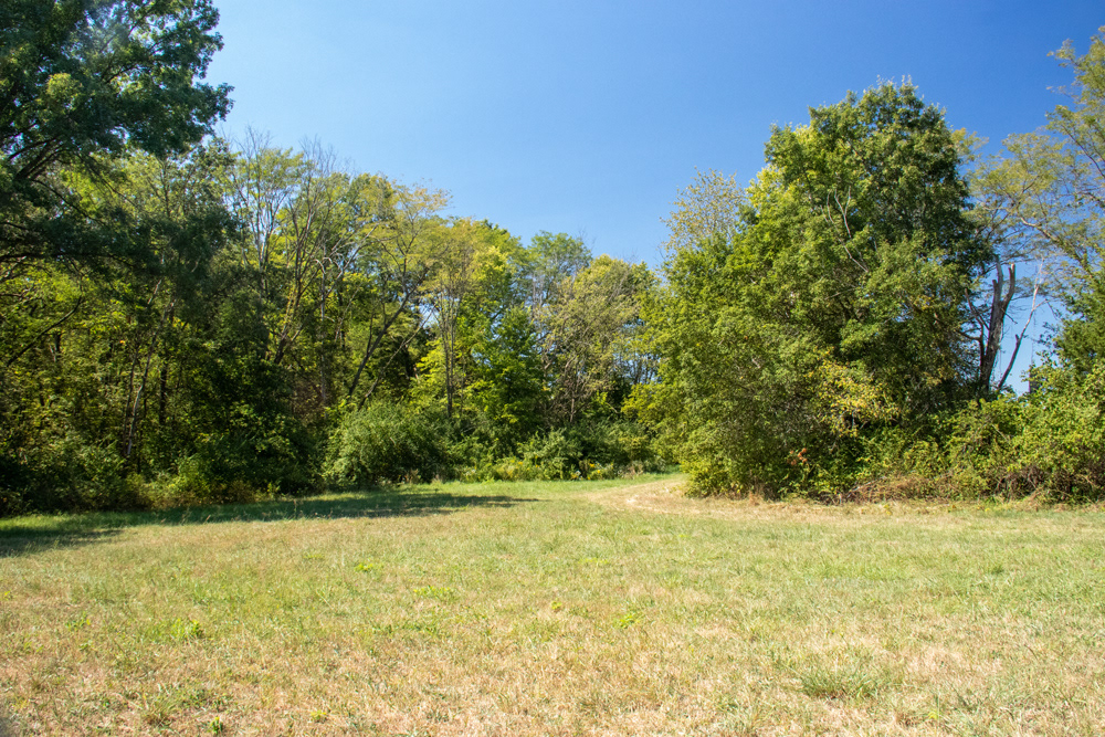 (4) One of the cul-de-sacs of fields