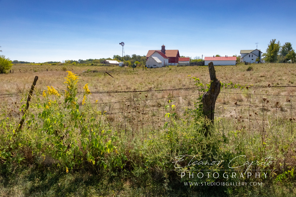 (22) Frank's property from Maxwell's driveway