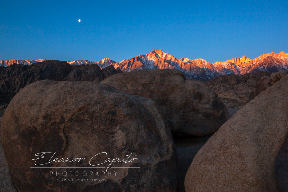 Mt Whitney at sunrise with 3/4 setting moon