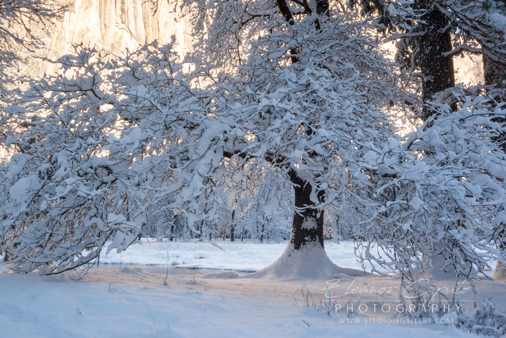 Yosemite winter 5