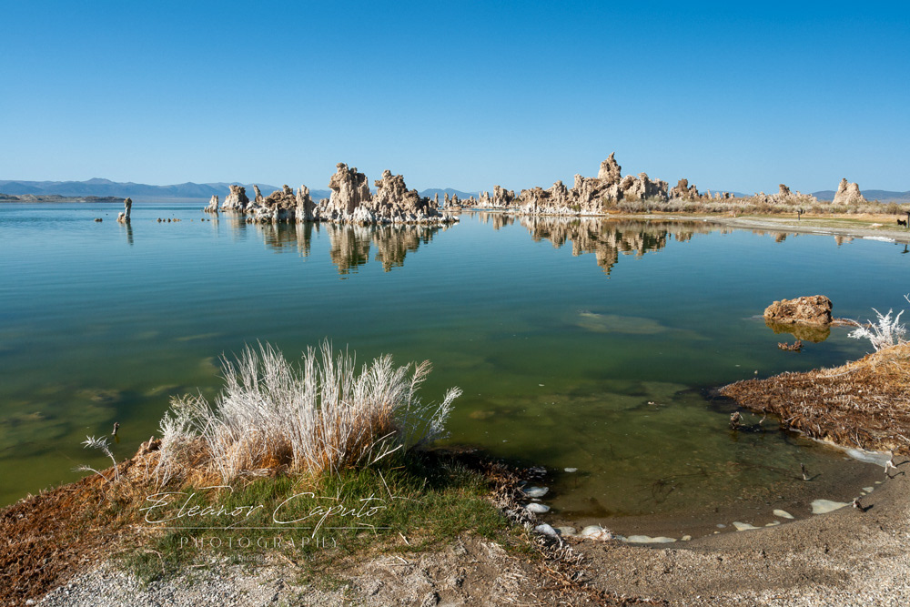 Mono Lake 15