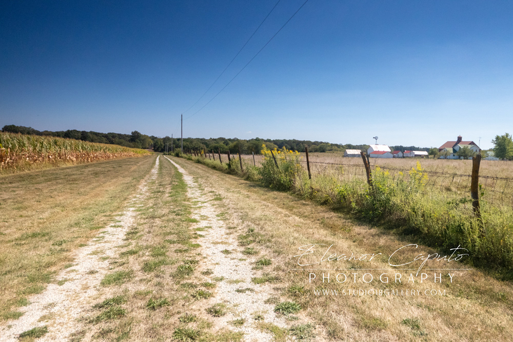 (21) driveway from gate 2 Frank's property on right