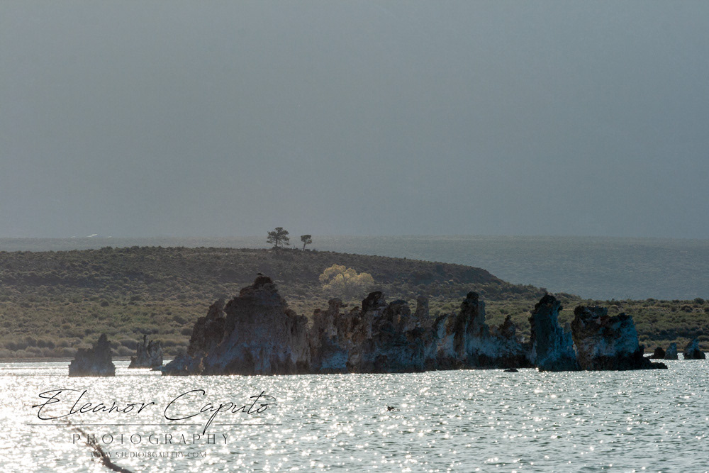 Mono Lake 9