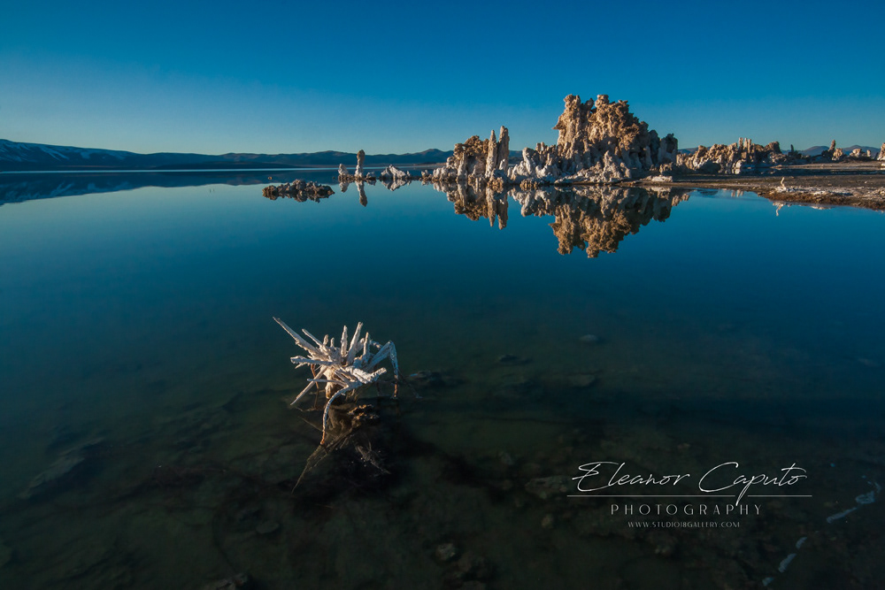 Mono Lake 47