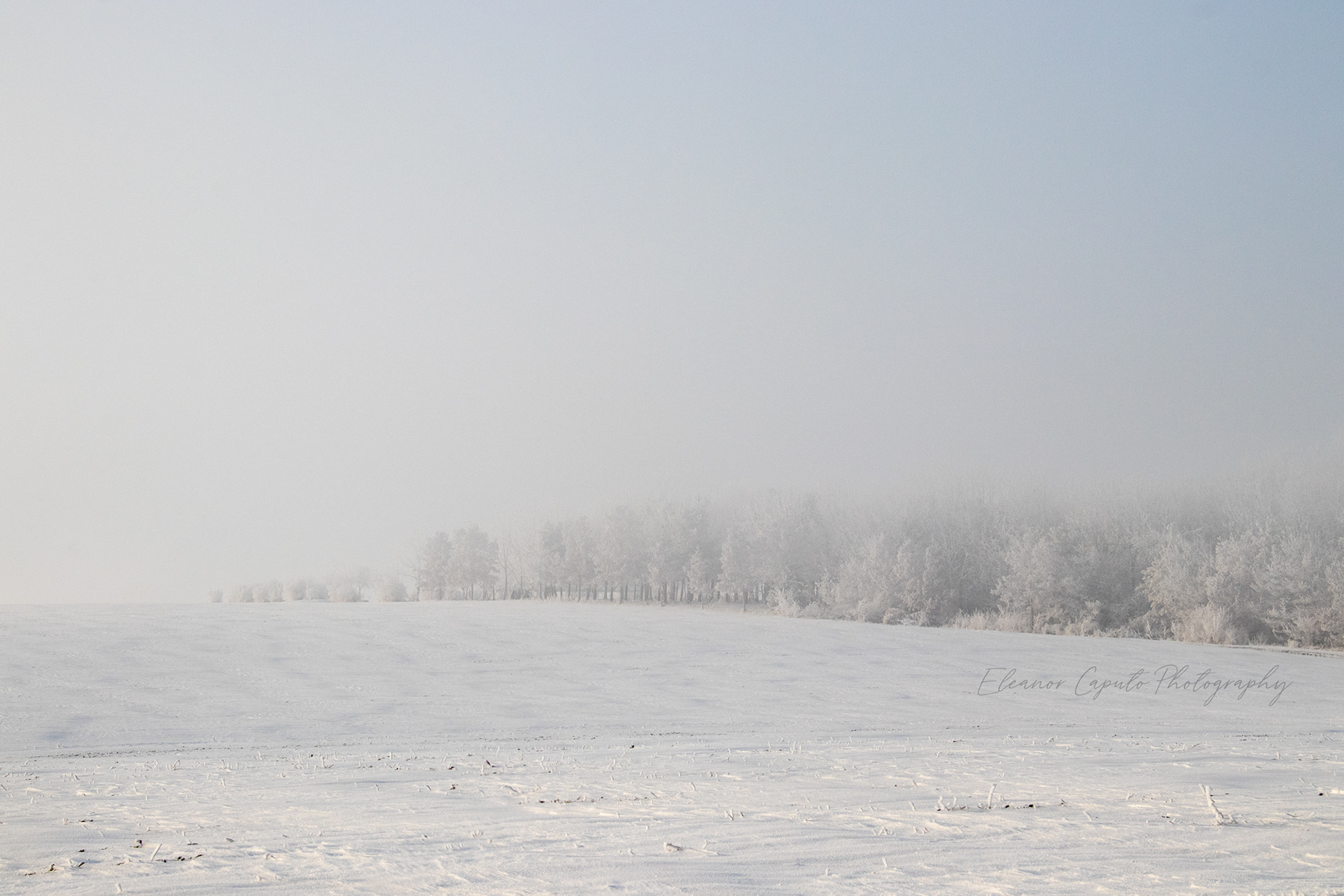 Marshall County, Iowa
