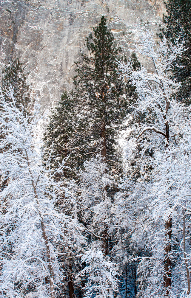 Yosemite winter 6