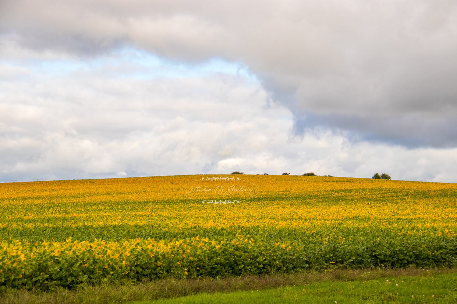 Marshall County, Iowa