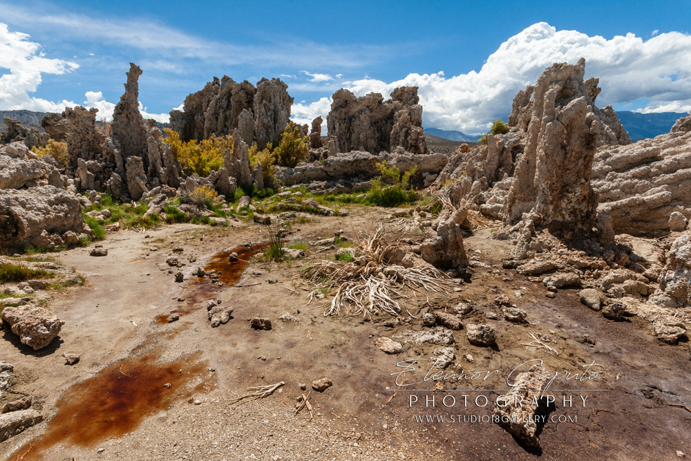 Mono Lake 2012 117