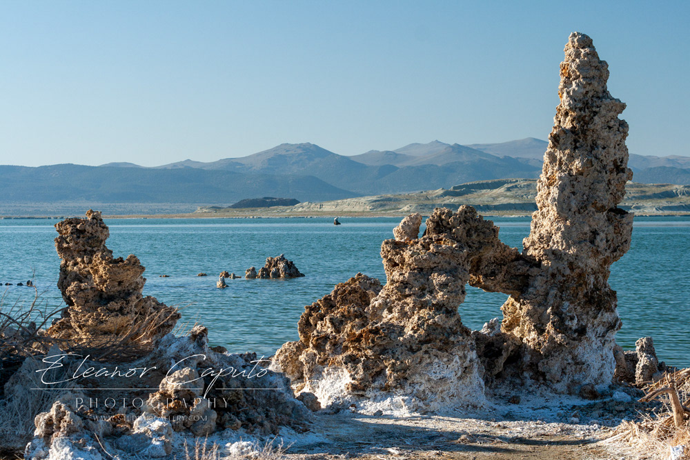 Mono Lake 10
