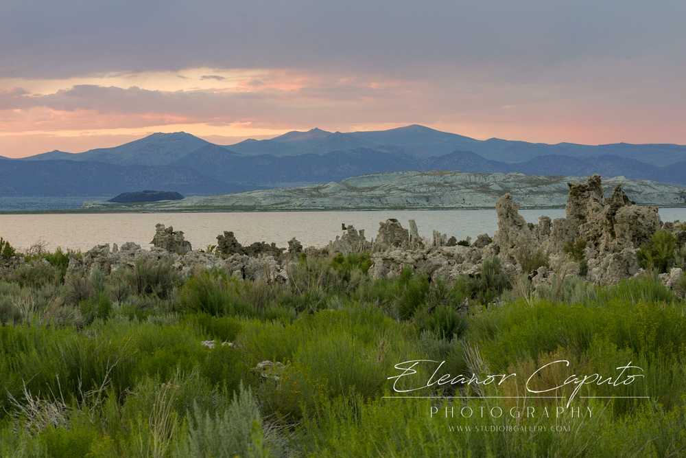 Mono Lake 46