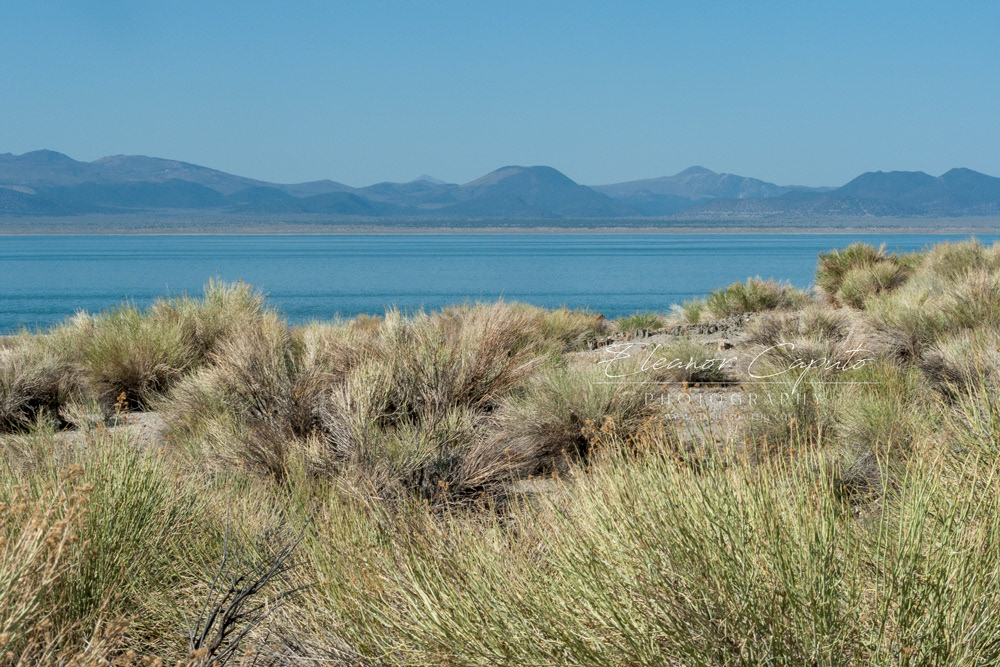 Mono Lake 16