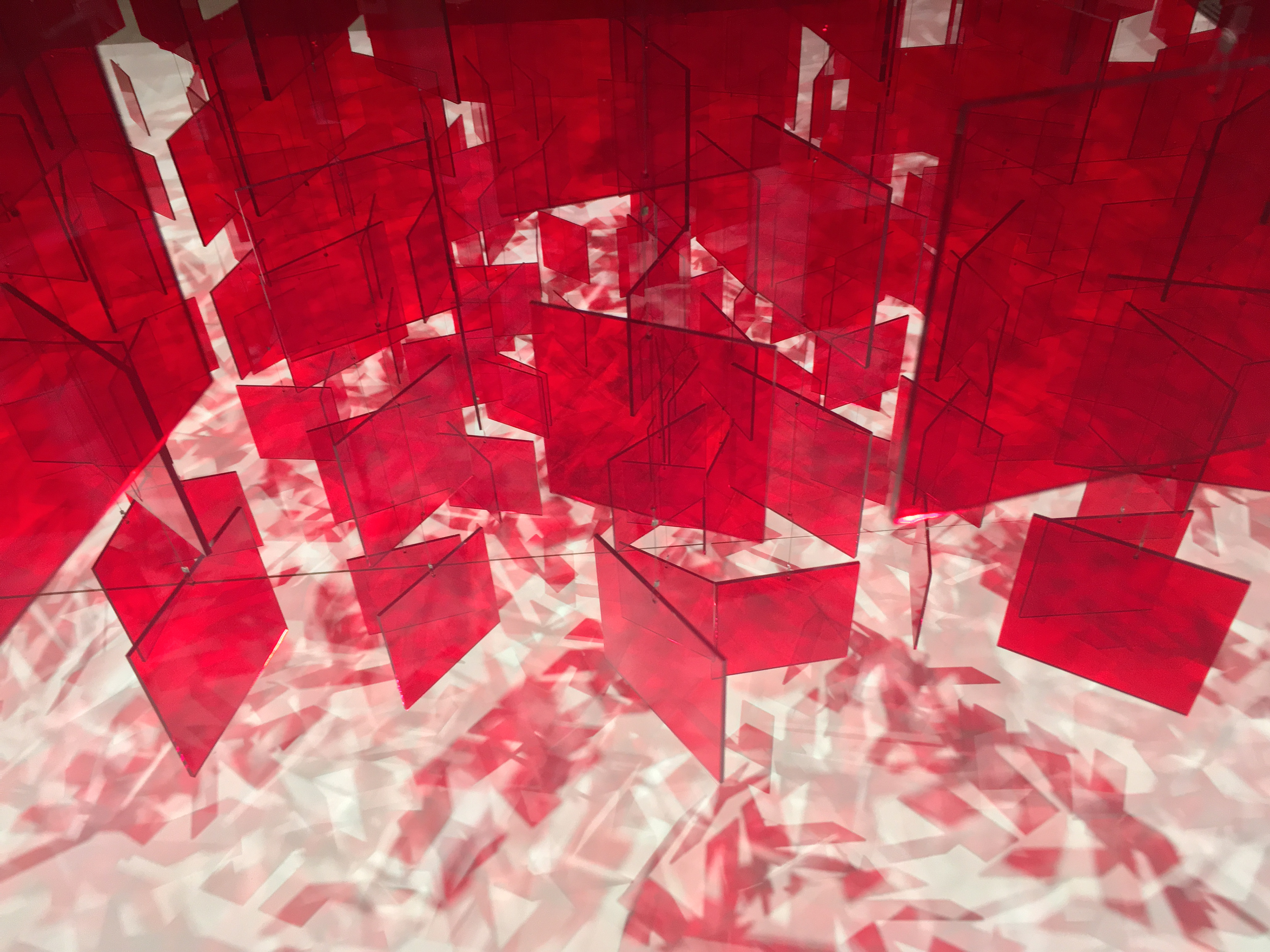 © 2017 Karla K. Gomez All Rights Reserved