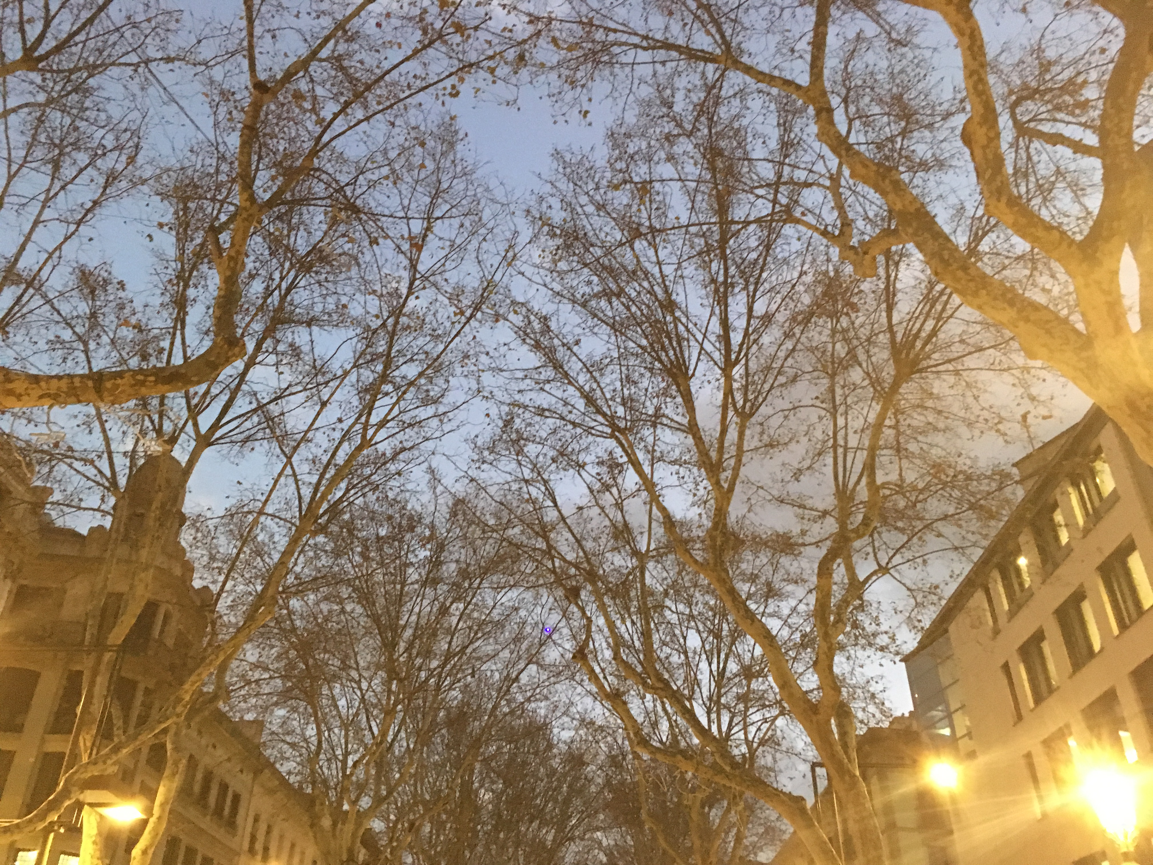 © 2018 Karla K. Gomez All Rights Reserved