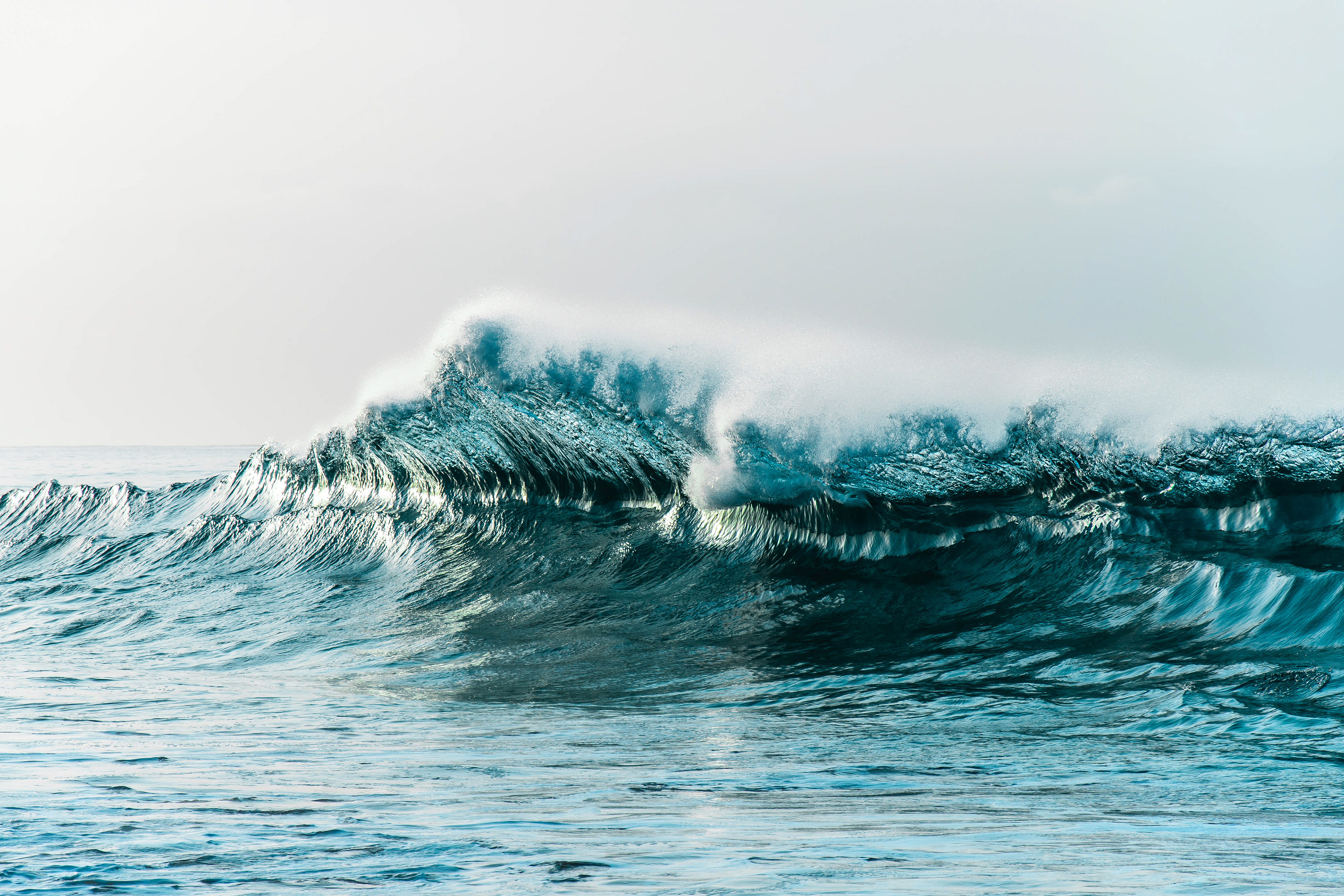 Wave