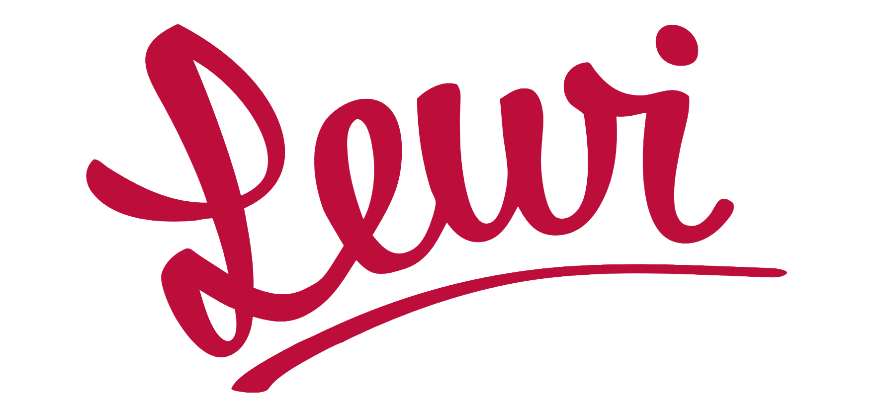 Lewi Hirvela Portfolio