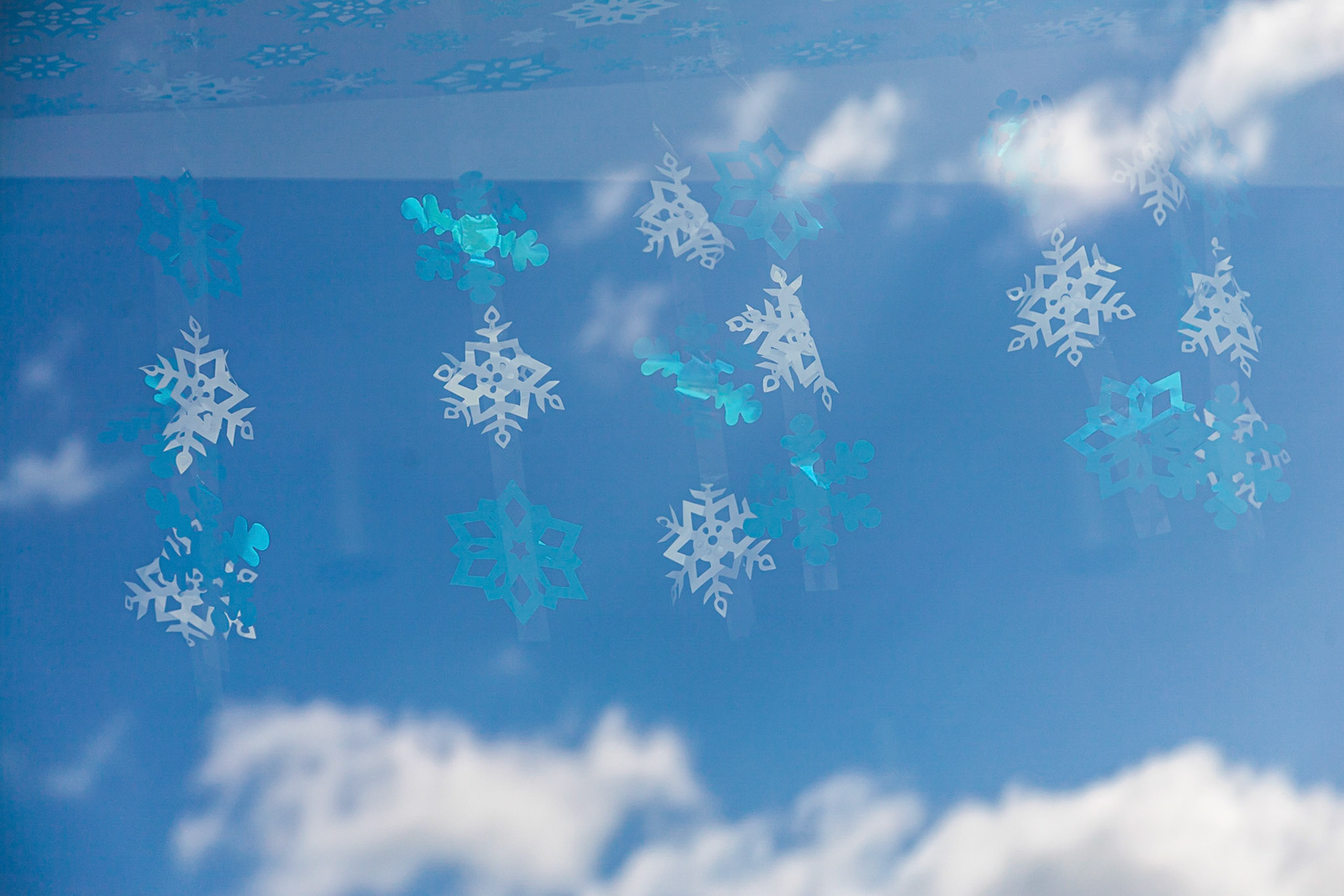 Snowflakes.