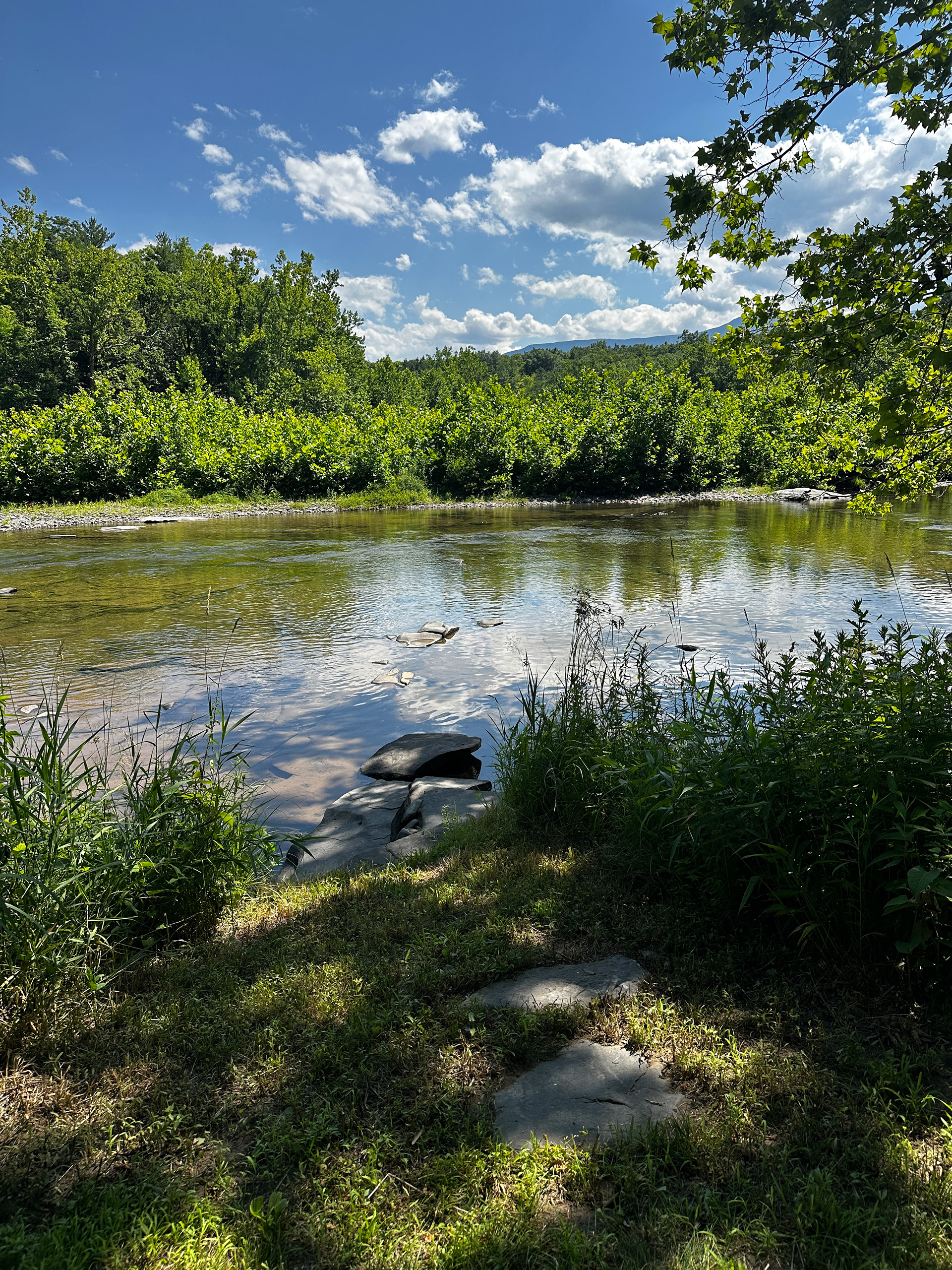 Summer view across the Catskill Creek from the cottage property.