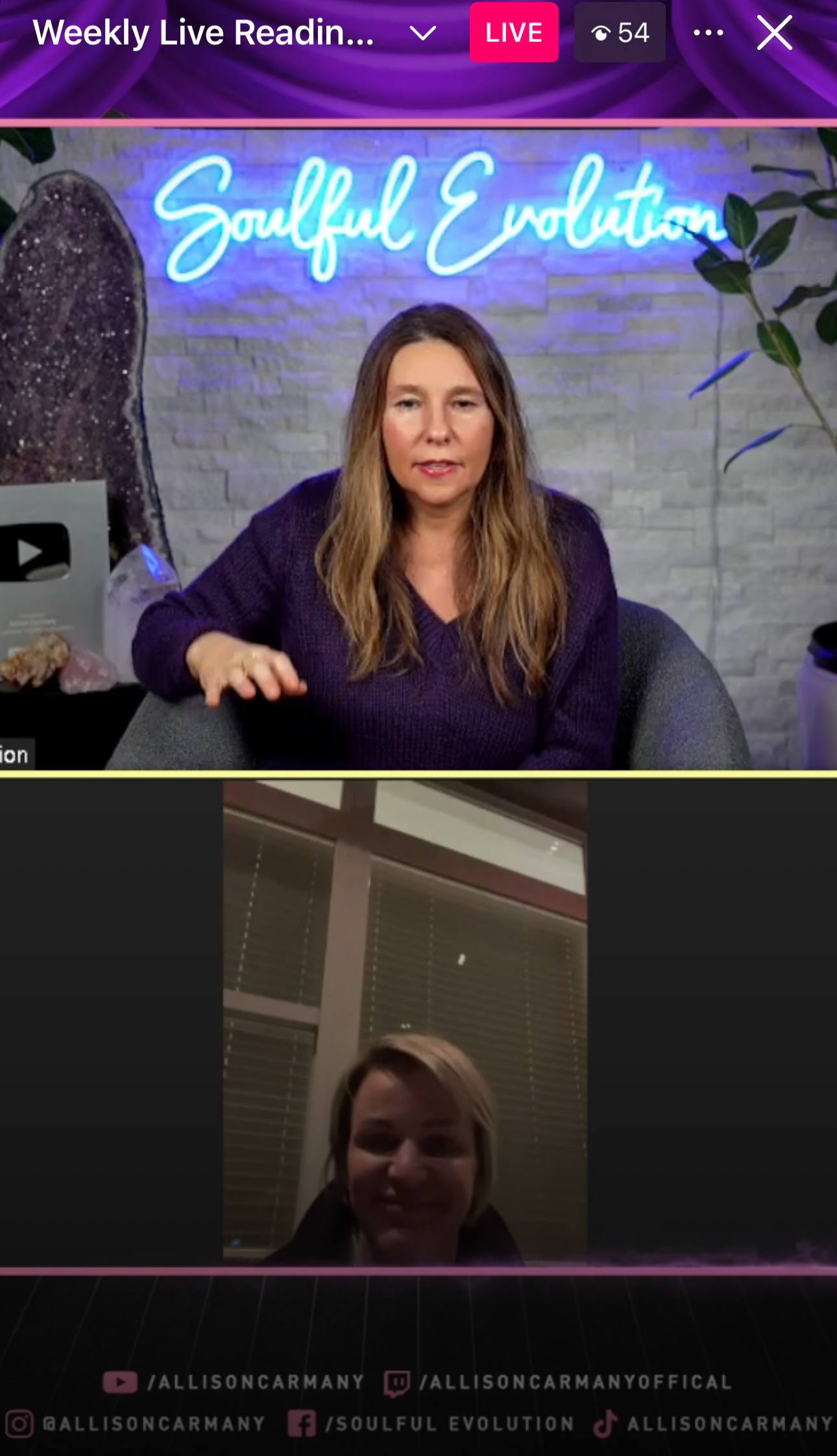 What the Viewers See