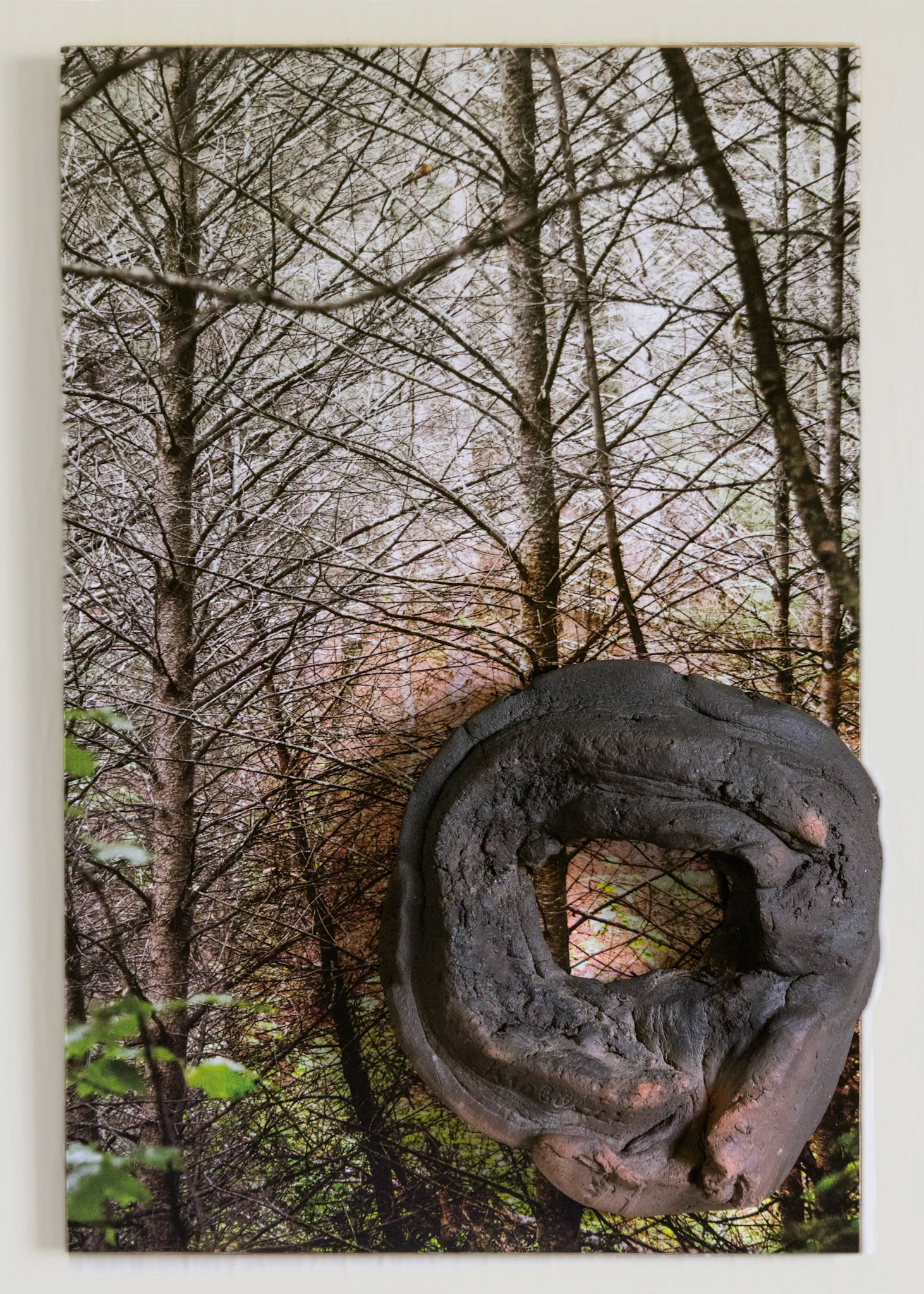 Between Earth and Sky cxv. 17x 11x 2.5"