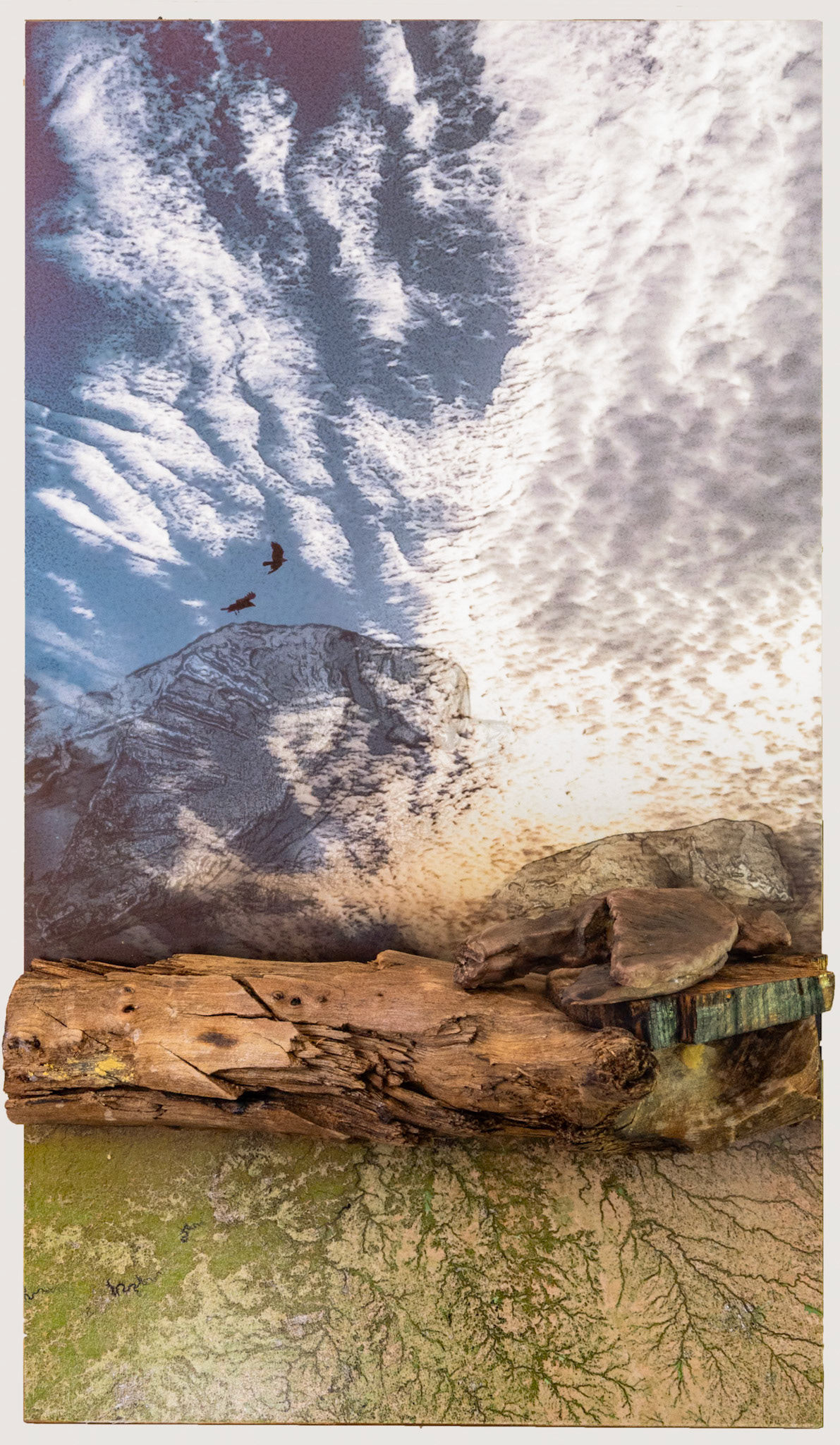 Between Earth and Sky cxviii. 22x 13x 6"