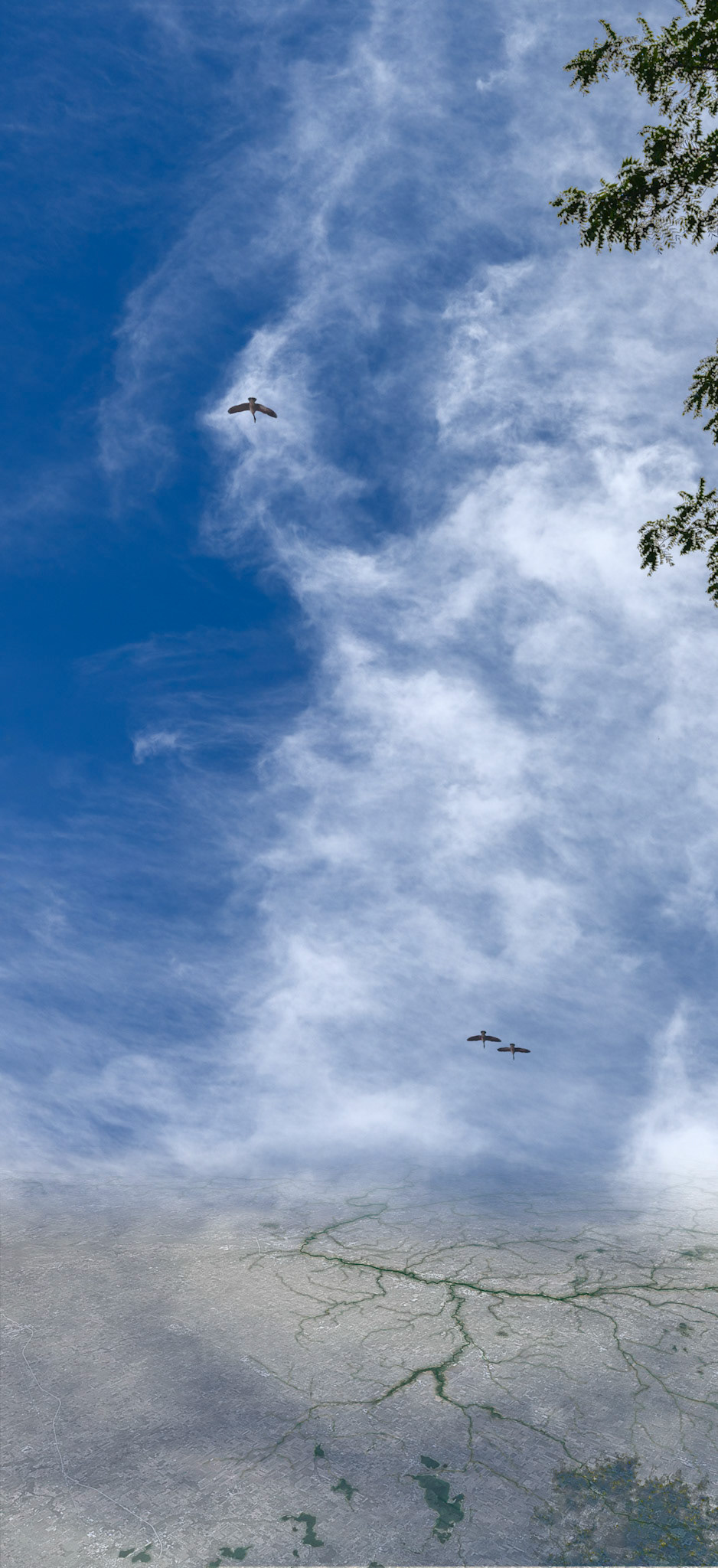 Between Earth and Sky c. 48x22"