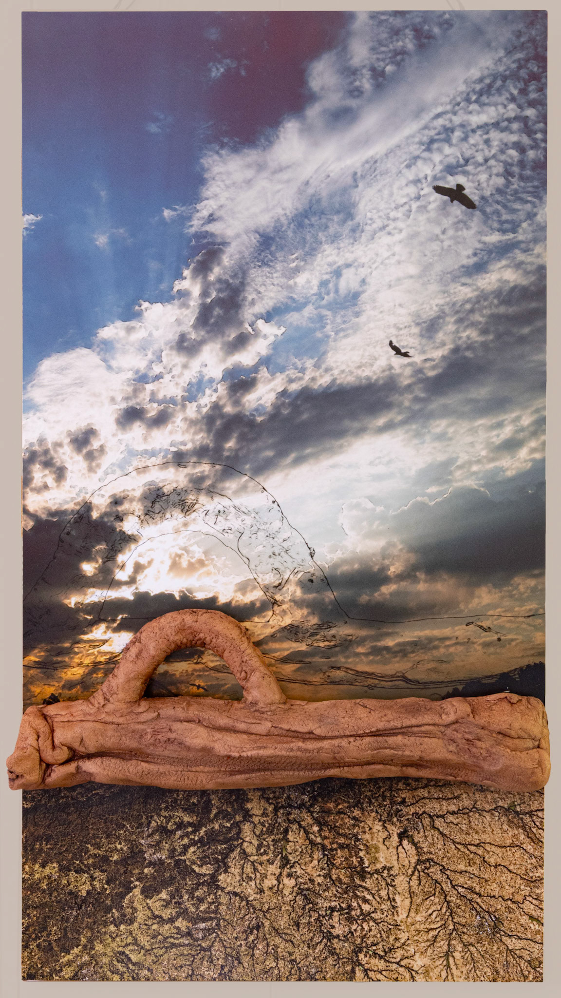 Between Earth and Sky cxx. 22x 12x 2.5"