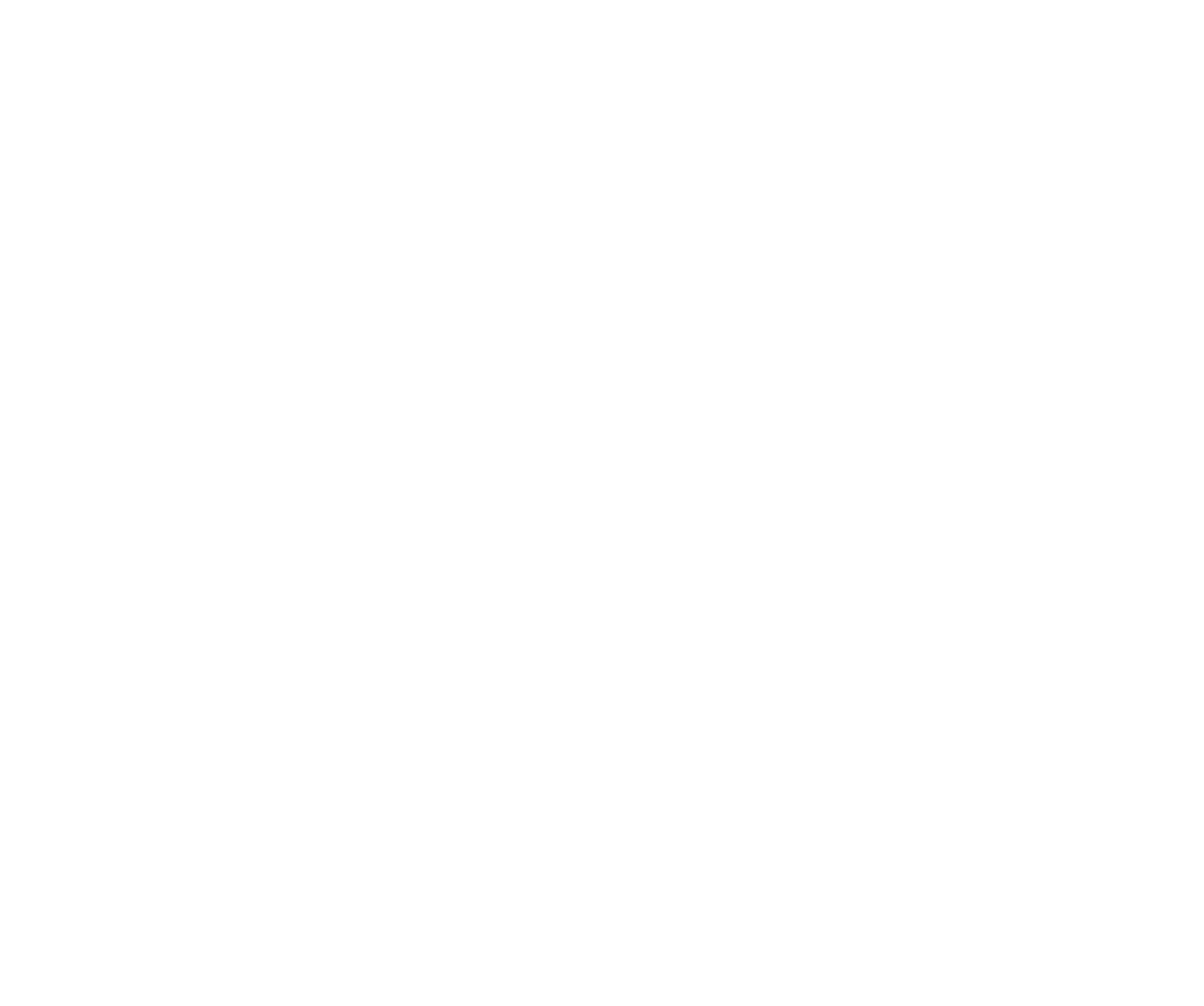 Skyler Z Noren