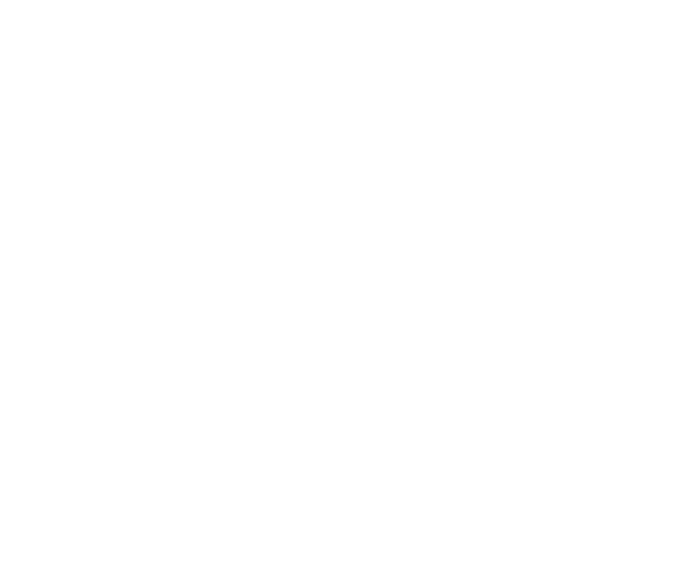 Skyler Z Noren