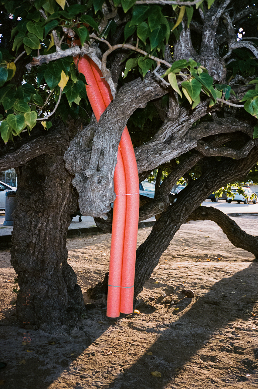 Tartane (Martinique)