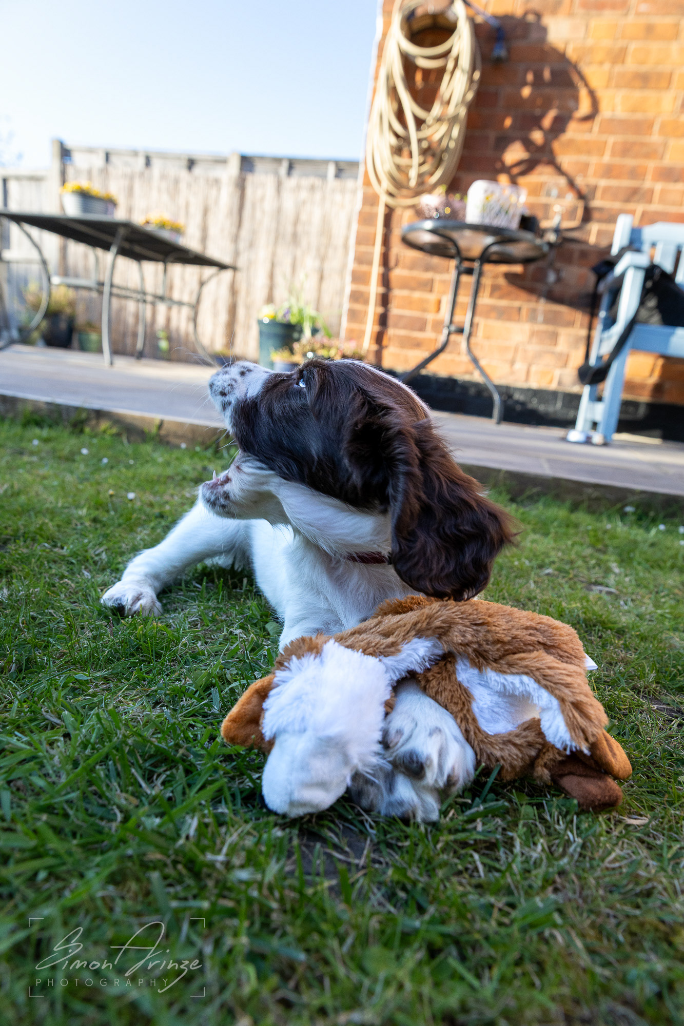 Stanley - 29/04/2026 - Simon Arinze Photography