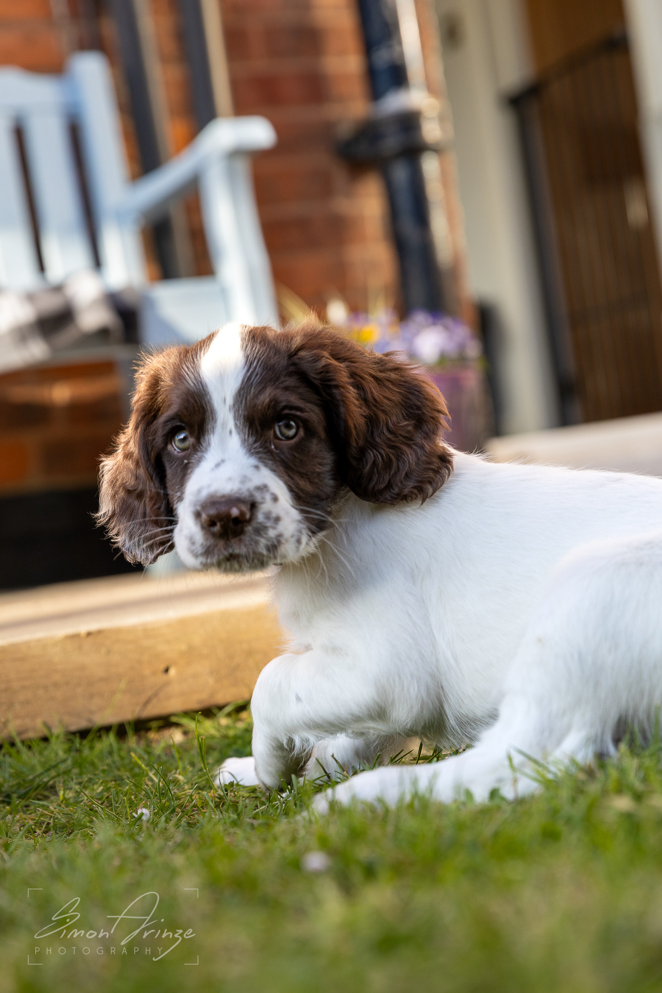 Stanley - 29/04/2026 - Simon Arinze Photography