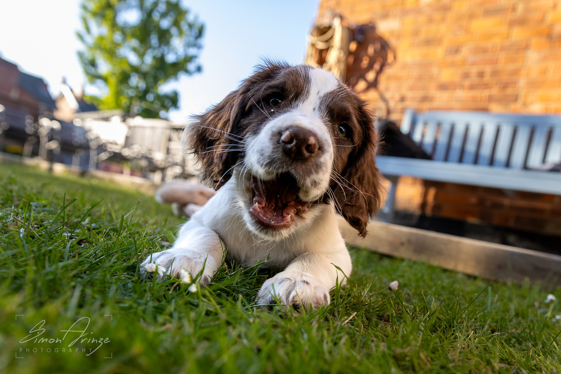 Stanley - 29/04/2026 - Simon Arinze Photography