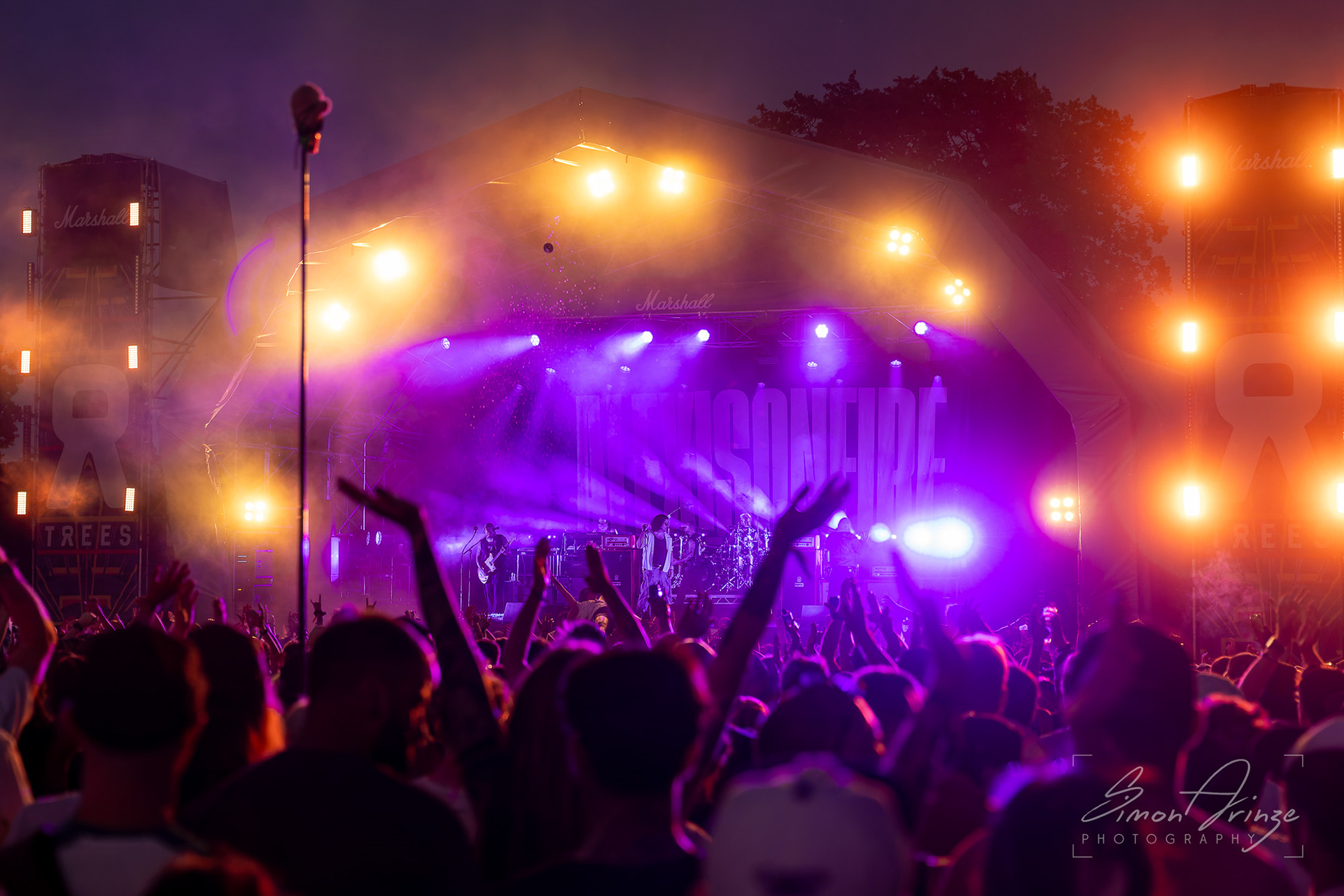 2000Trees Festival - 12/07/2025 - Simon Arinze Photography