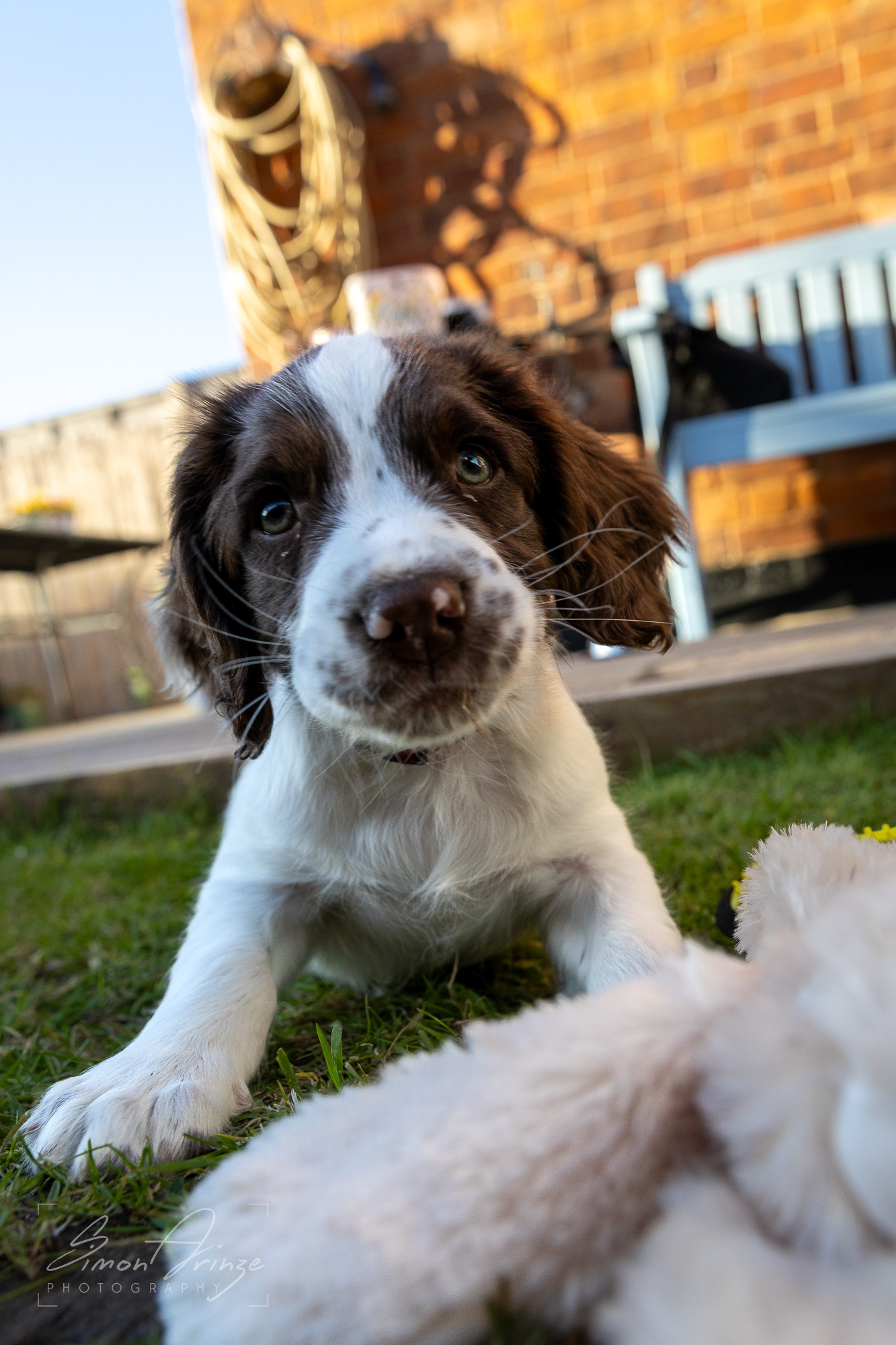 Stanley - 29/04/2026 - Simon Arinze Photography
