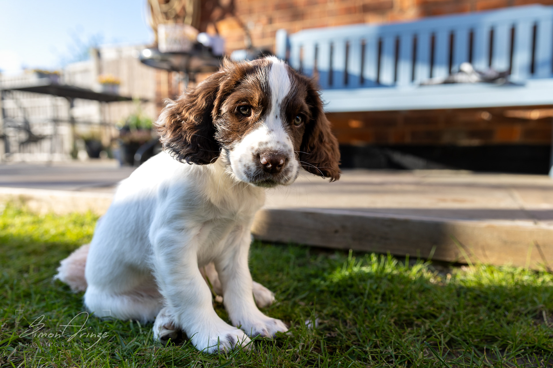 Stanley - 29/04/2026 - Simon Arinze Photography