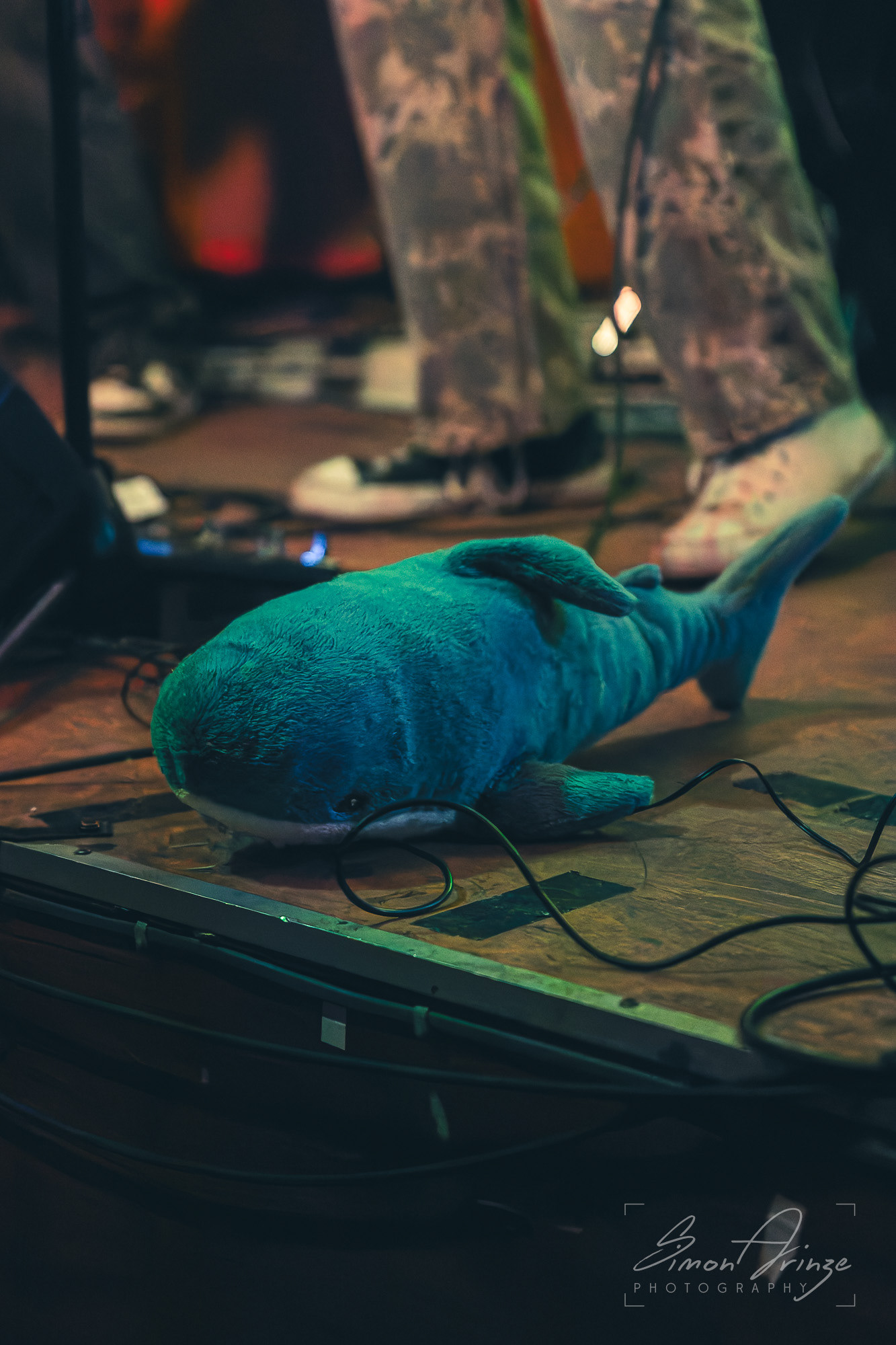 Bluntnose - Frog & Fiddle, Cheltenham - 01/03/2025 - Simon Arinze Photography