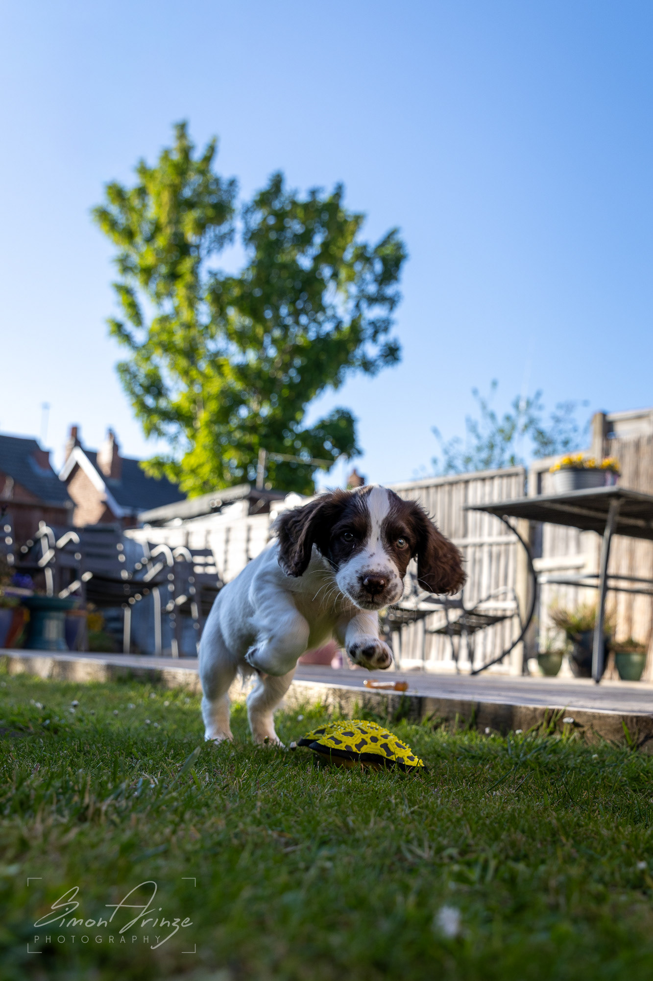 Stanley - 29/04/2026 - Simon Arinze Photography