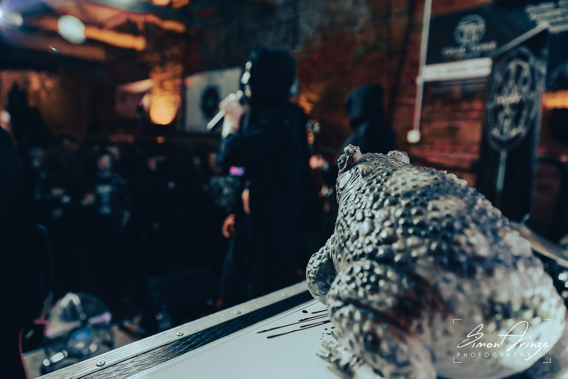 Froglord - Frog & Fiddle, Cheltenham - 14/02/2025 - Simon Arinze Photography