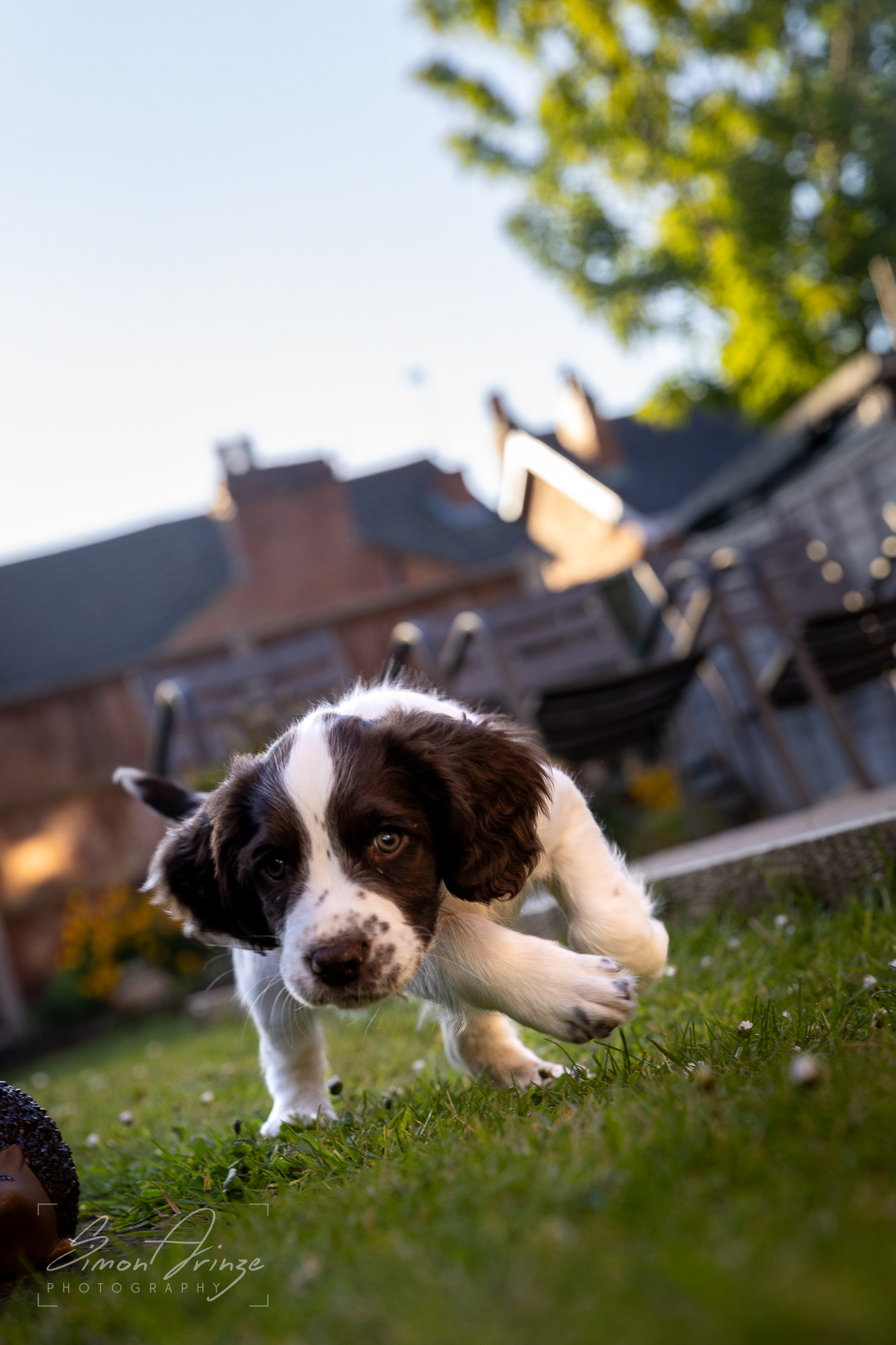 Stanley - 29/04/2026 - Simon Arinze Photography