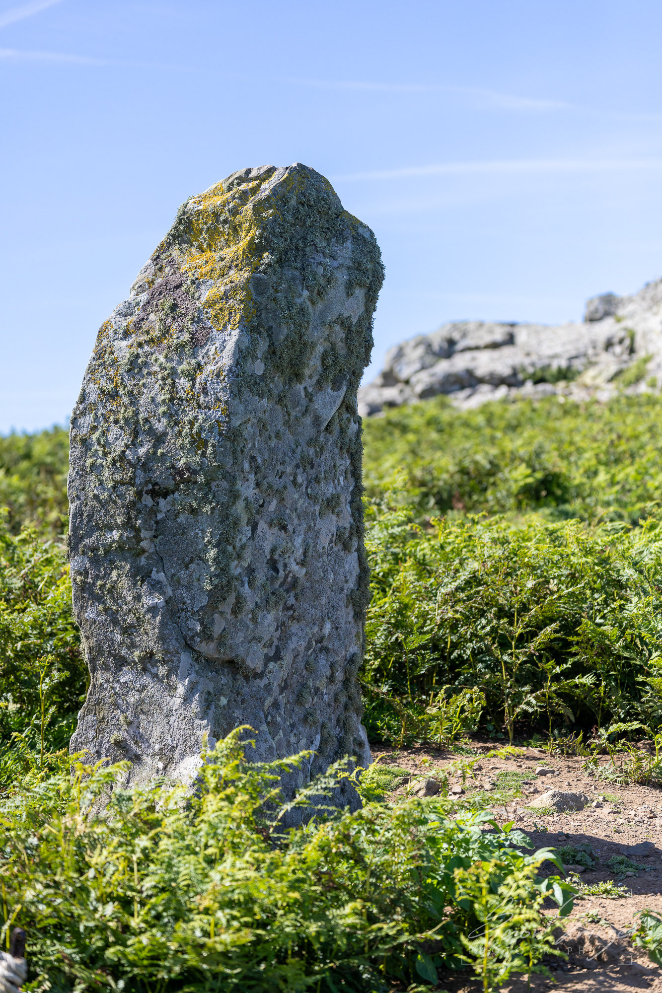 Skomer Island - 12/06/2026 - Simon Arinze Photography