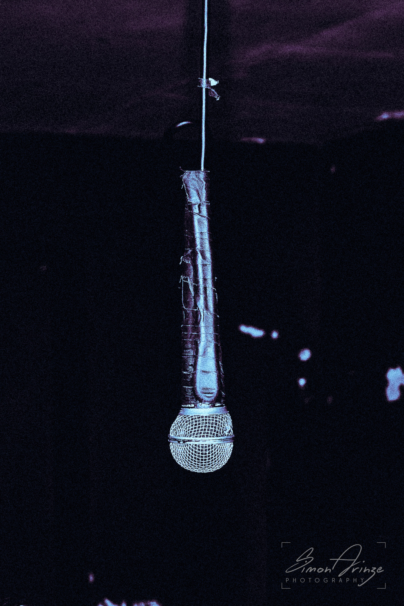 Fangs Out - Frog & Fiddle, Cheltenham - 20/02/2026 - Simon Arinze Photography