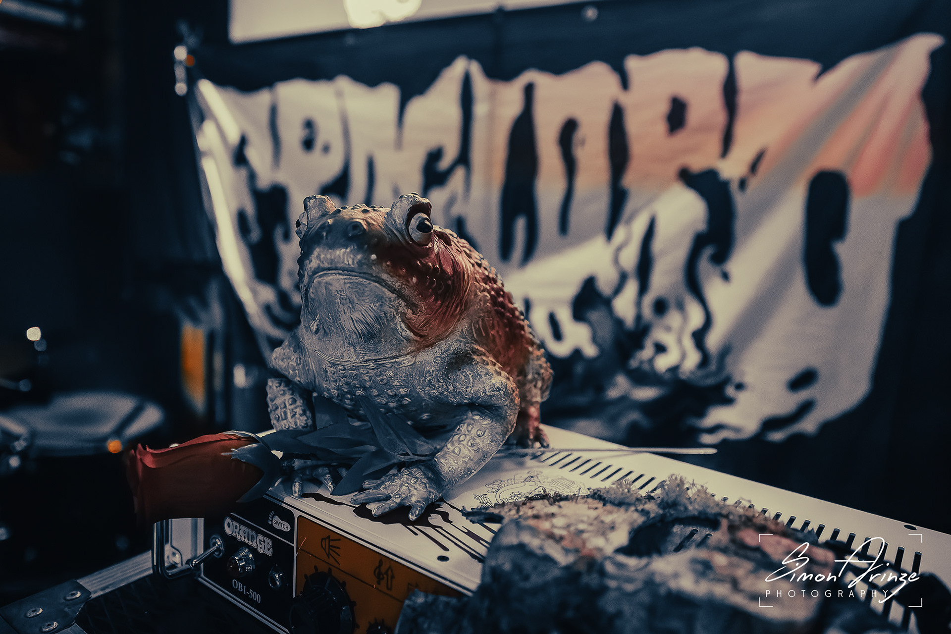 Froglord - Frog & Fiddle, Cheltenham - 14/02/2025 - Simon Arinze Photography