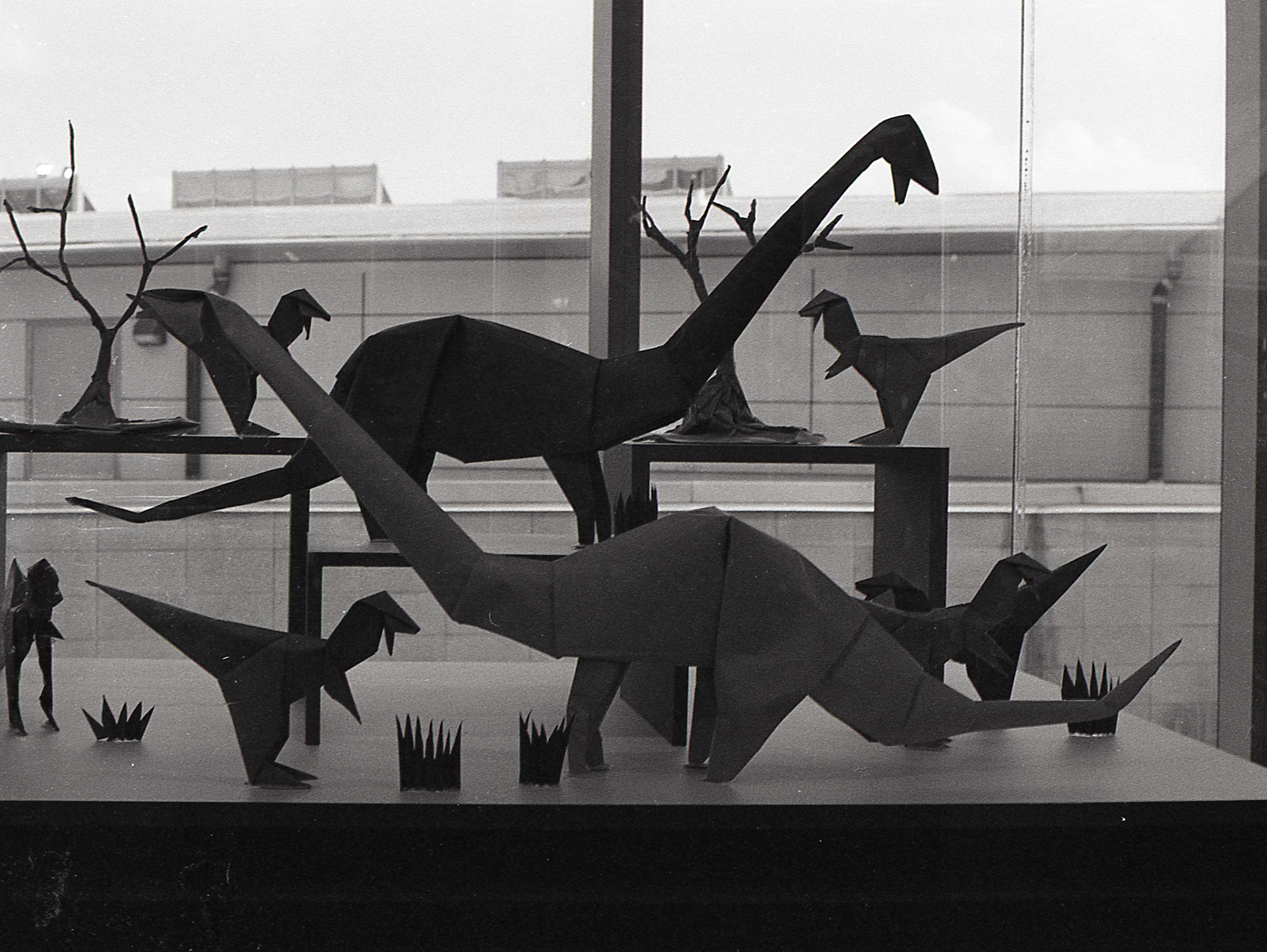 Ilford HP5 Plus 400/Canon EOS Rebel G